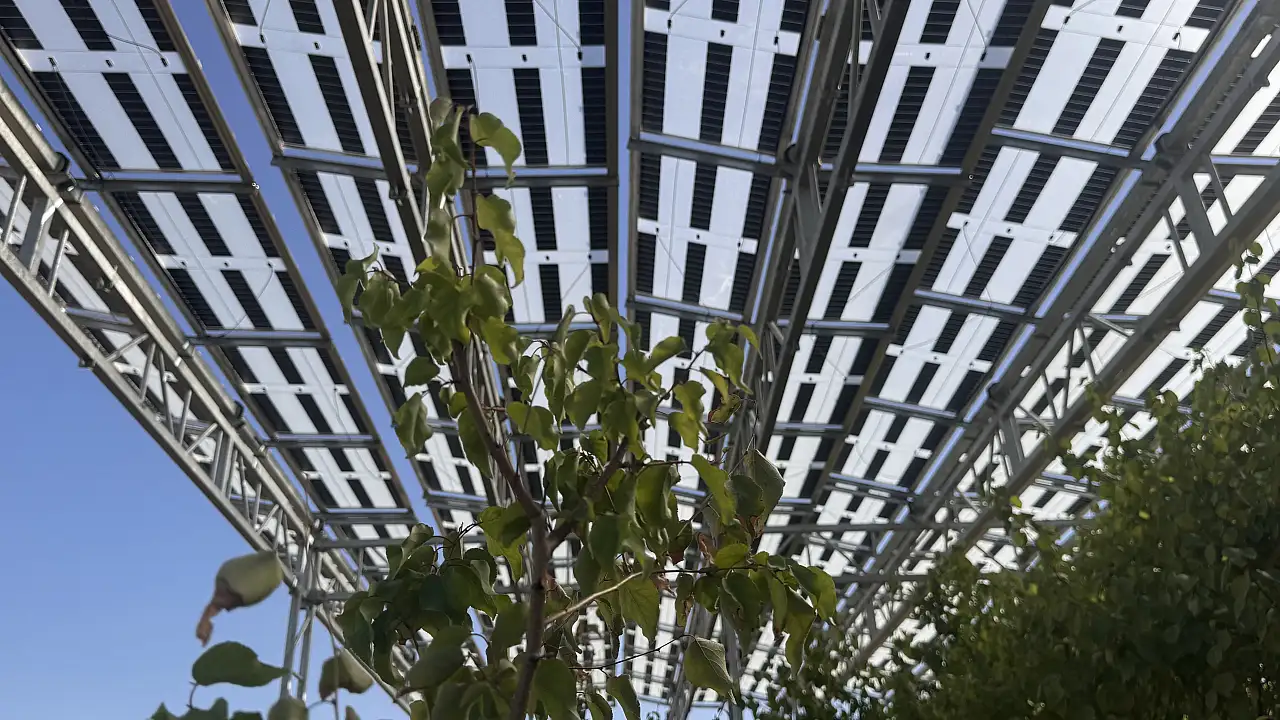 Tarımda güneş enerjisiyle çift kat verim sağlanacak