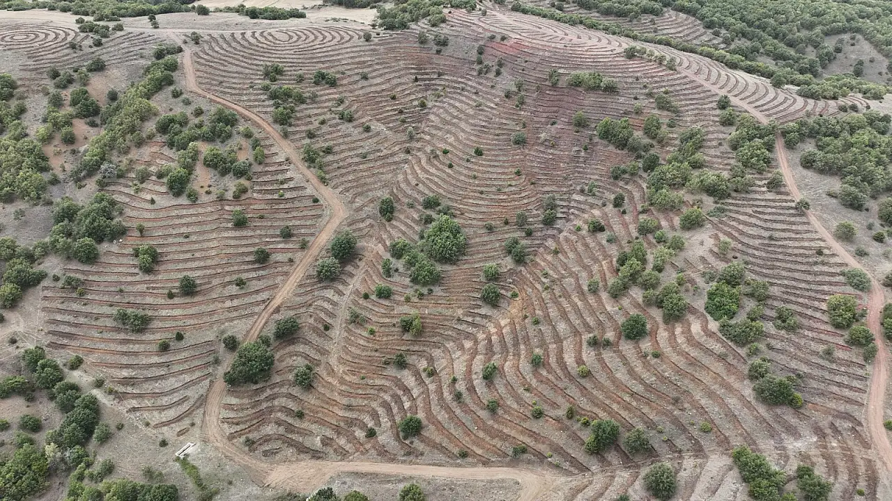 Kayseri'deki müdürlük açıkladı! Milyonluk hibe desteği