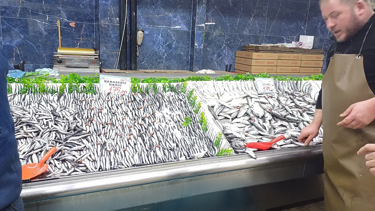 Bu sene hamsi altın çağını yaşıyor