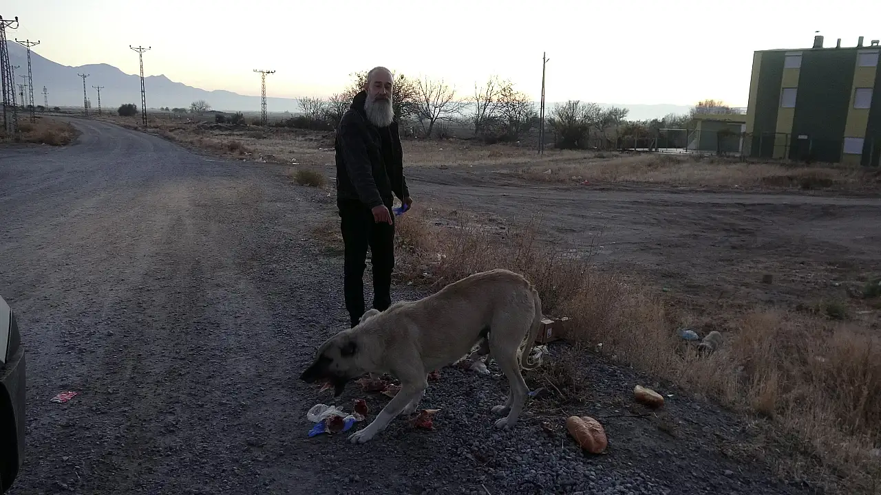 Kete ve simitle 8 mahallenin hayvanlarını besliyor