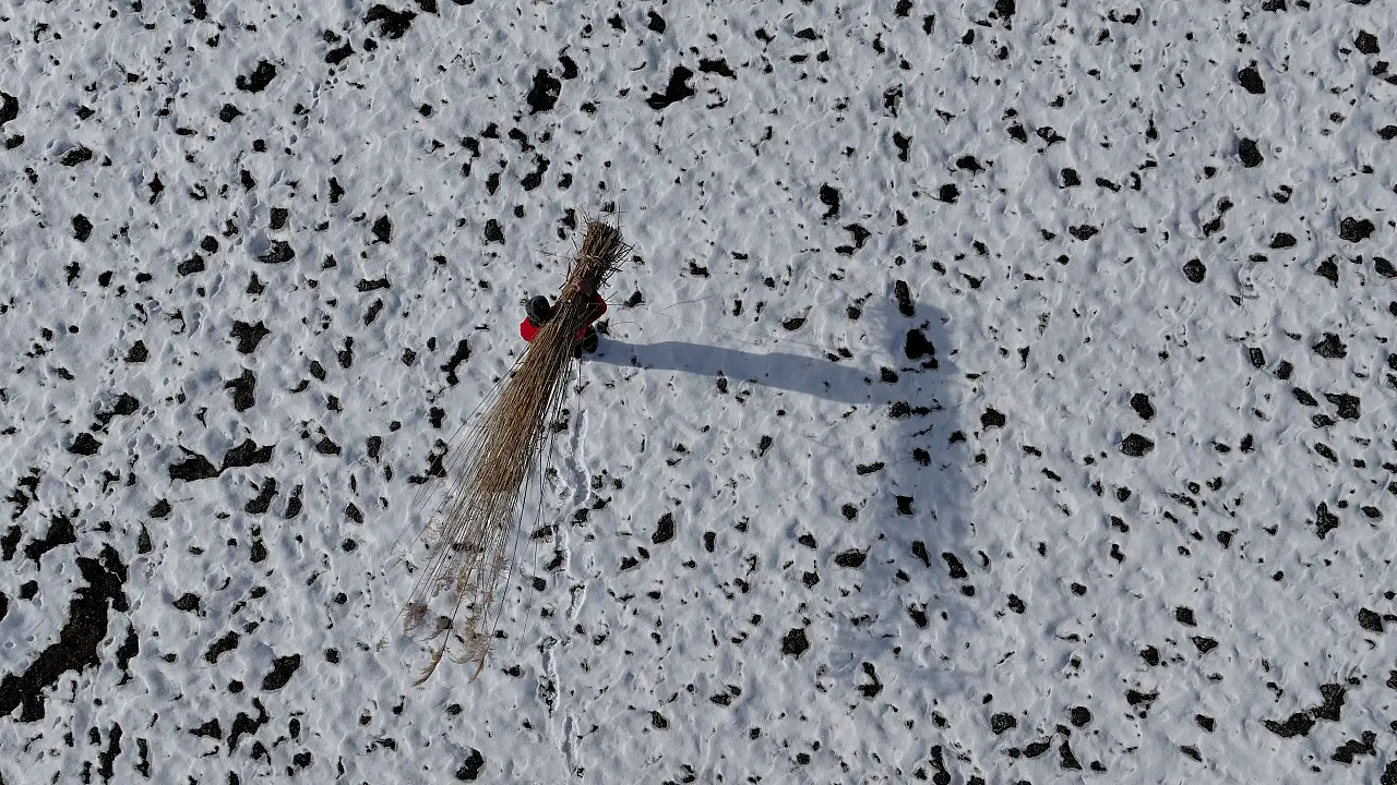 Göçmen kuşların yuvasında kış mesaisi