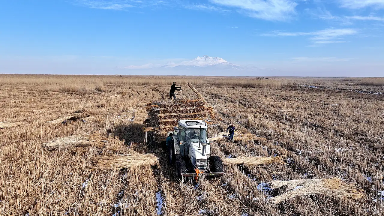 Göçmen kuşların yuvasında kış mesaisi