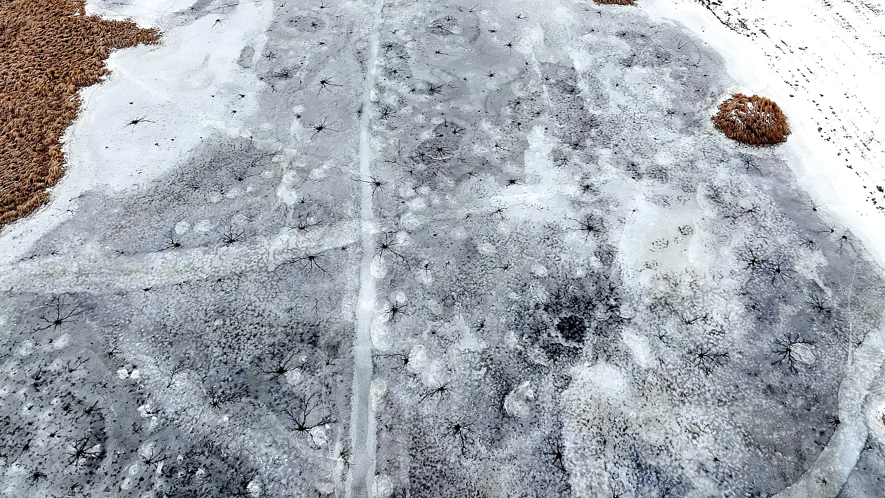 Bu görüntüler Kayseri'den: Gümüşören Barajı'nda göz bebeklerini andıran buzlar oluştu