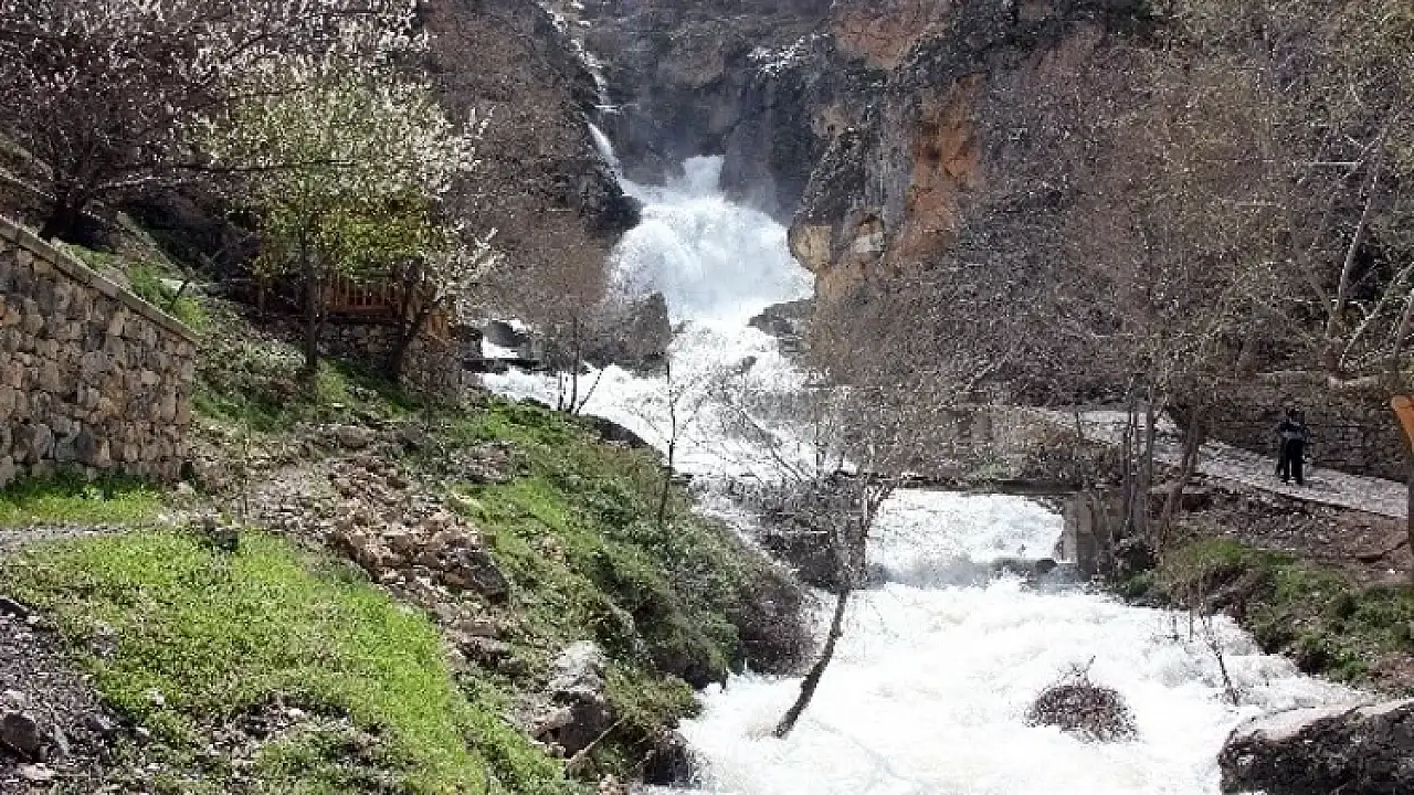 Türkiye'de 275, Kayseri'de sadece 1 tane var! 2011'den bu yana korunuyor