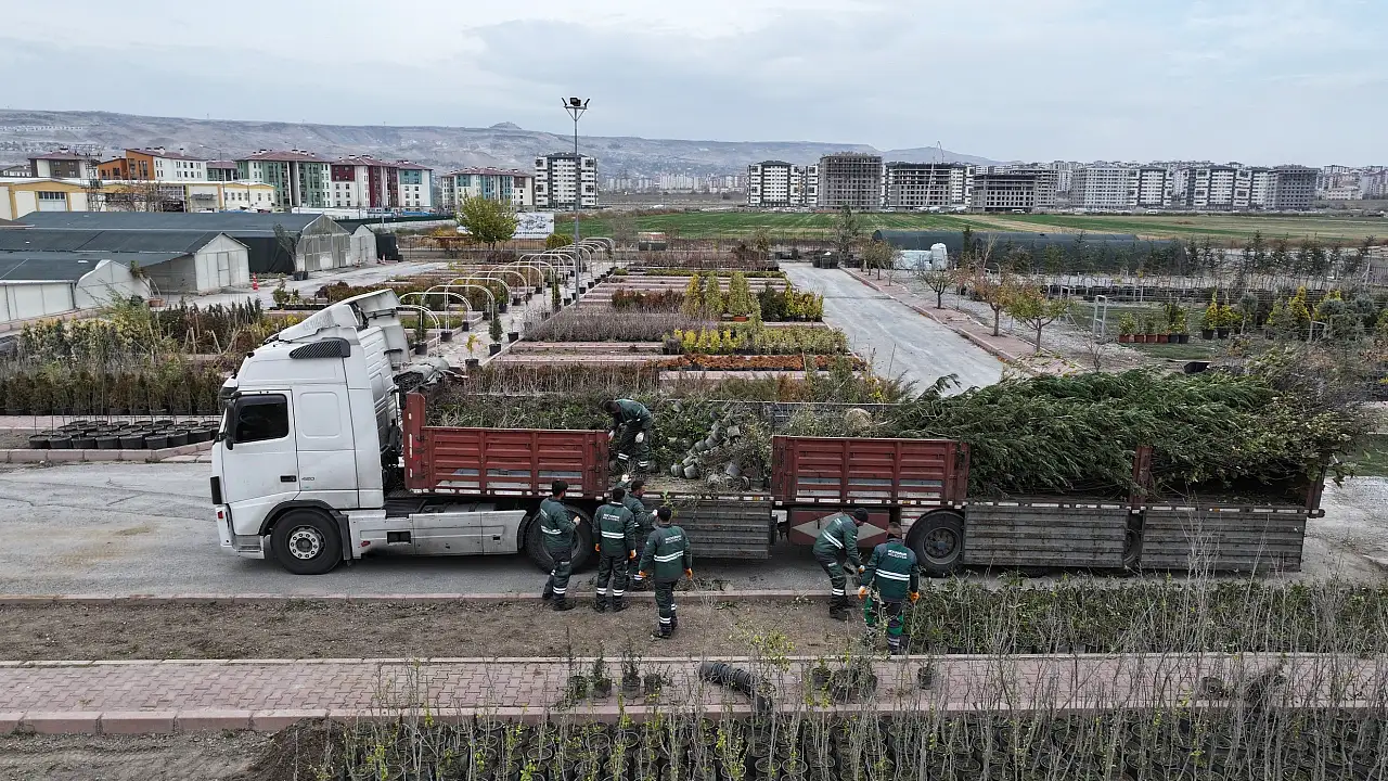 Kayseri'de o belediyeden rekor! 11 yılda binlerce ağaç dikildi