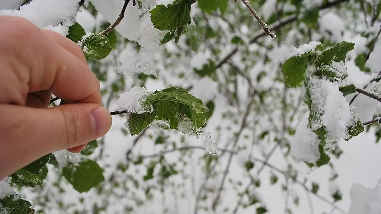 Kayserililer dikkat! Meteoroloji'den 9 ilçeye kar ve don uyarısı geldi