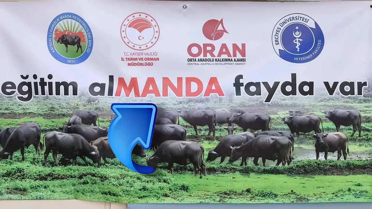 Kayseri'de dikkat çeken afiş! Gören bir daha baktı!