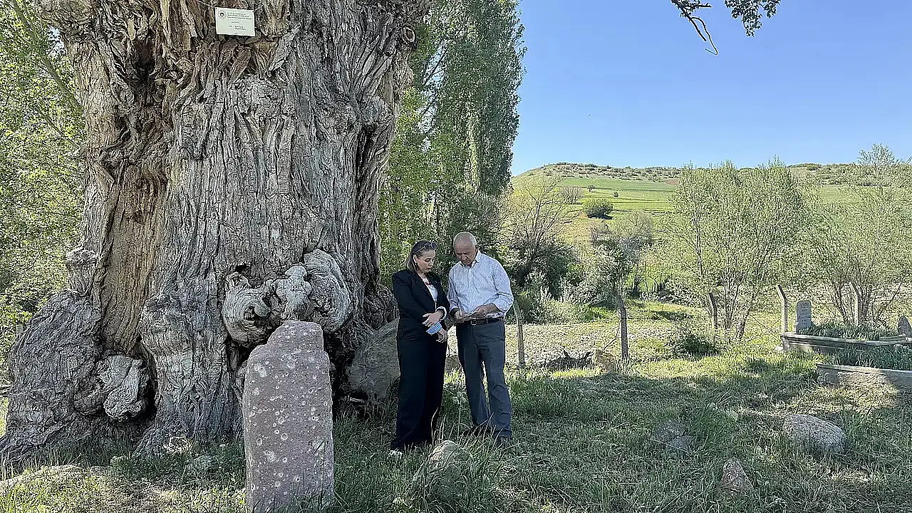 Kayseri'de ağacın gövdesinde mezar çıktı!
