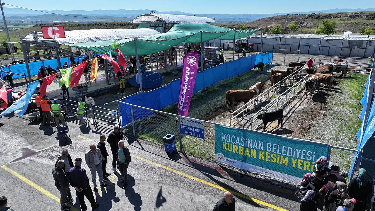 Erkilet'te kurban mesaisi: Başkan Çolakbayrakdar ve Milletvekili Ataş sahada