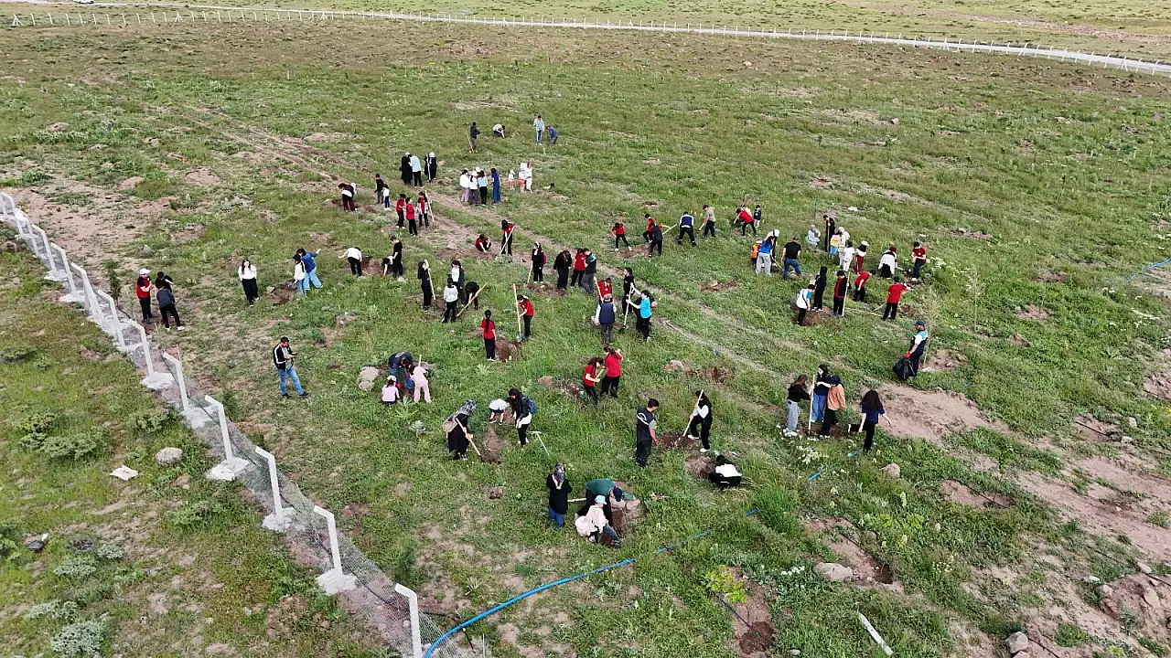 Büyükşehir'den Develi'de ağaçlandırma projesi hayata geçirildi
