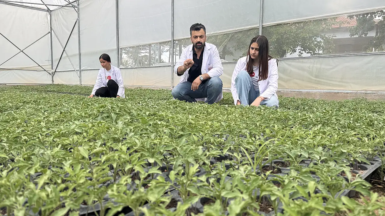 Ata tohumu artık Tarım Lisesinde!