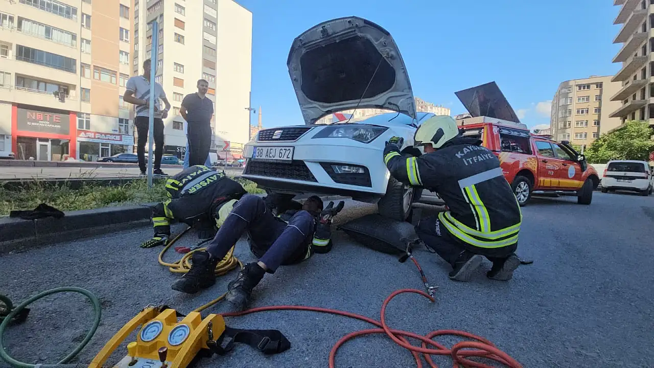 Kayseri'de otomobilden yılan sarktı, mahalle ayağa kalktı