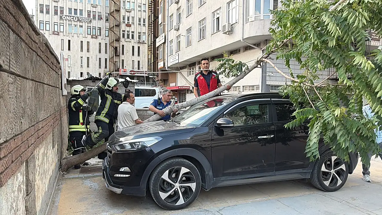 Kayseri'de ağaç, aracın üzerine devrildi