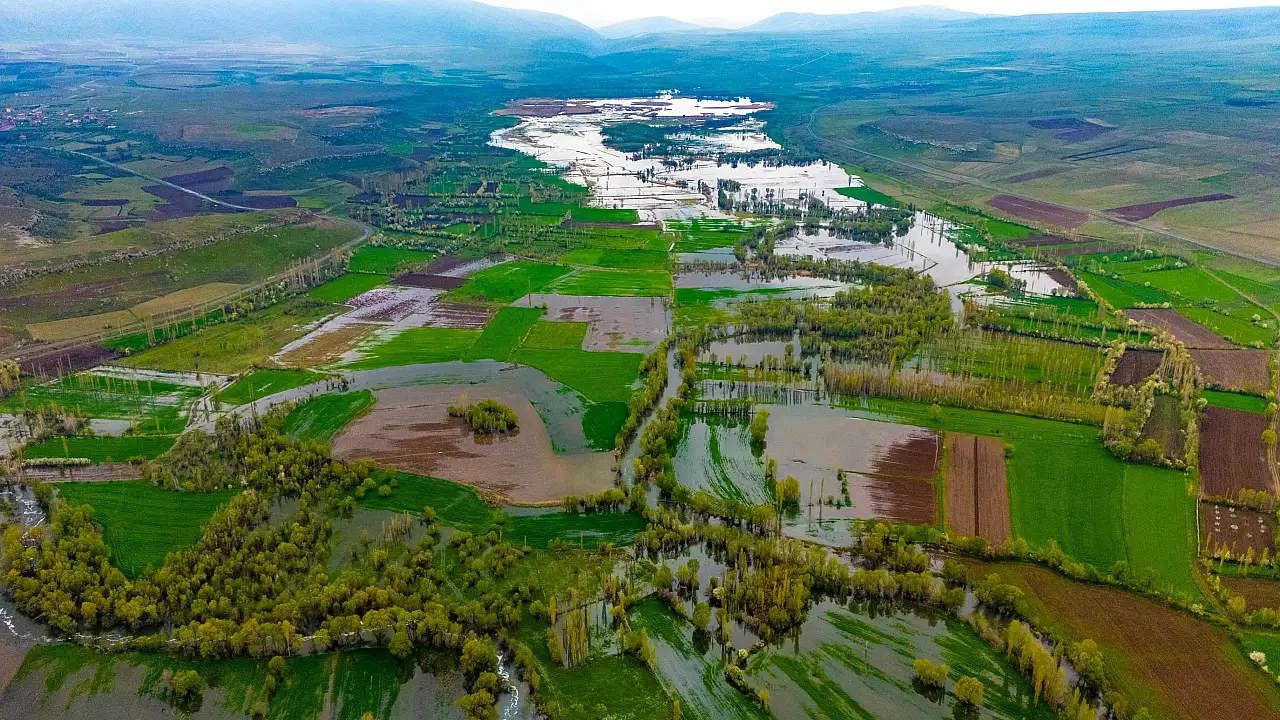 Kayseri'de tedirgin eden görüntü! Milyonlarca var ve çevreye yayıldılar