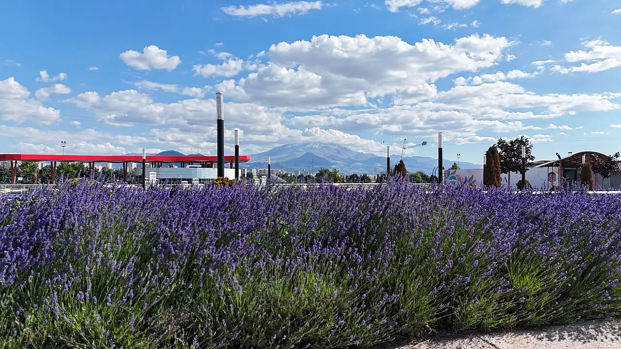 Kayseri'de halk otobüsünde görenler şaştı kaldı! Bunu neden yapıyor