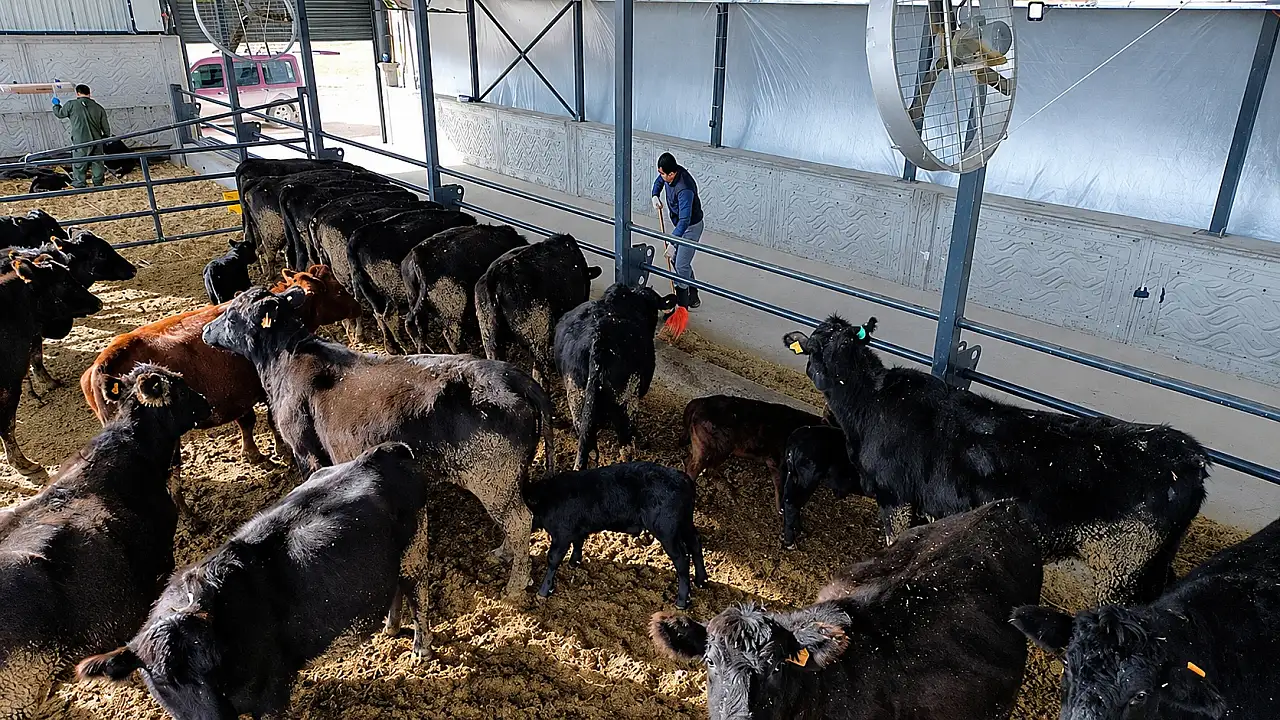 Kayseri'de çiftlik projesi için geri sayım başladı!