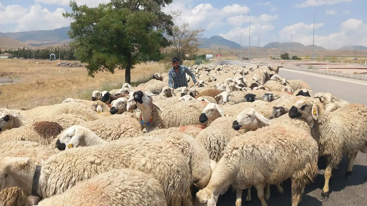 Erciyes'te yayladan dönüşte yaşanan su sıkıntısı gündemde