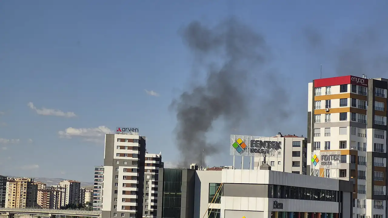 Son dakika! Argıncık yangın çıktı