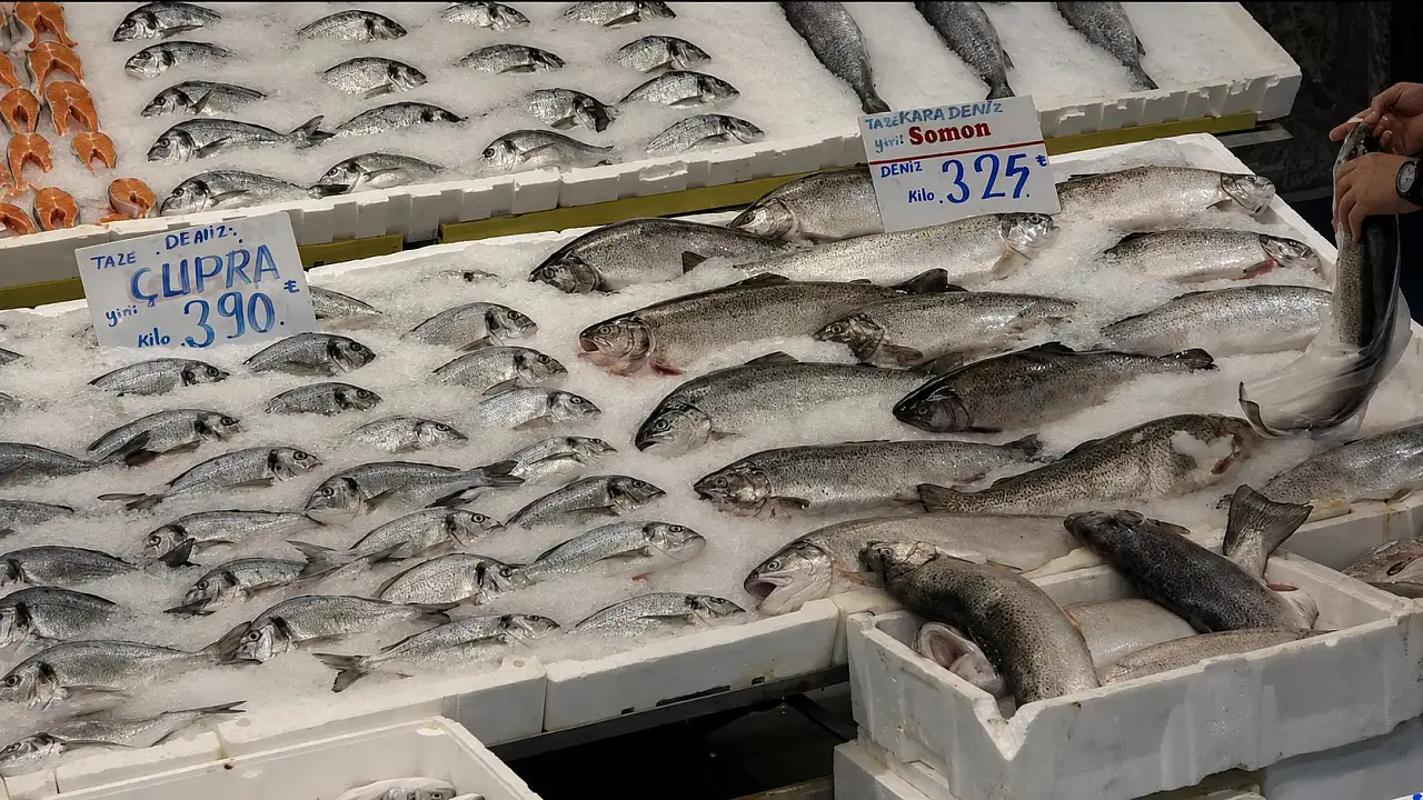 Kayseri'de balık sezonu nasıl başladı? Tezgâhlardaki bolluk fiyatlara yansıdı
