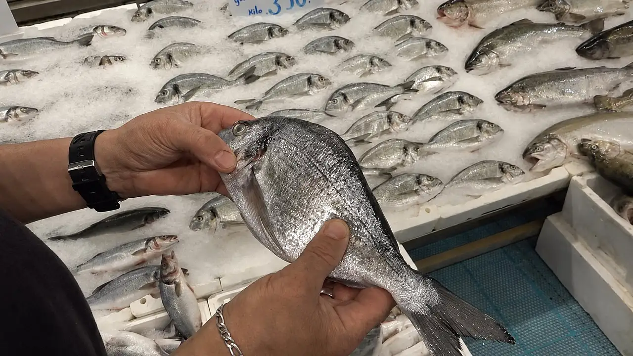 Kayseri'de balık sezonu nasıl başladı? Tezgâhlardaki bolluk fiyatlara yansıdı