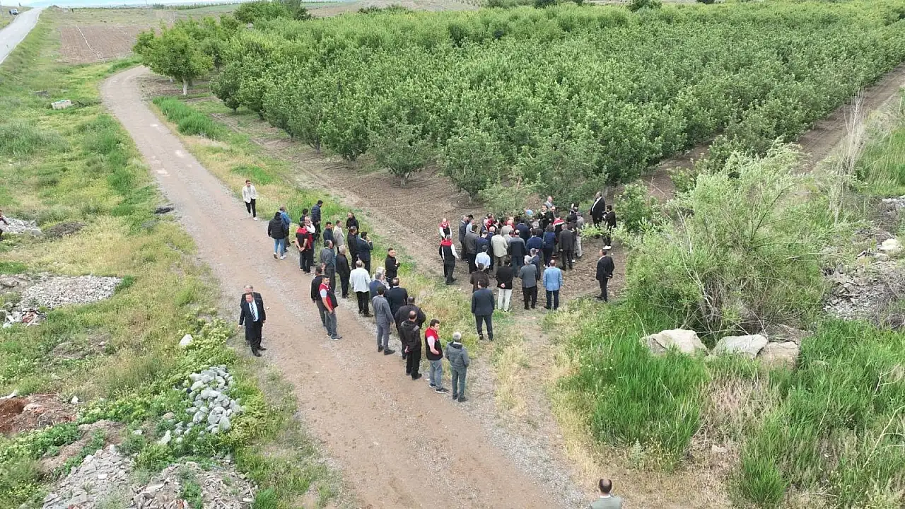 Kayseri'de 'elma diyarı' denilen mahallede elma bereketi!