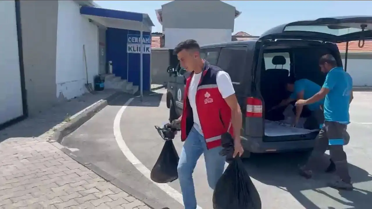 Kayseri'de anlamlı etkinlik: Atıklar mamaya dönüştü