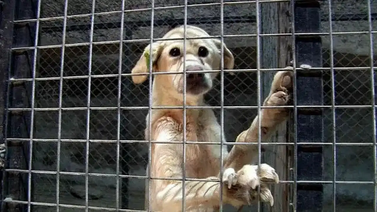 Belediye harekete geçti! Talas Çatakdere'ye bakın ne yapılıyor?