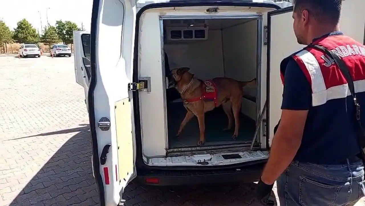 Narkotik köpeği Zırh'ın desteğiyle yakalandı! Nevşehir'de dikkat çeken operasyon