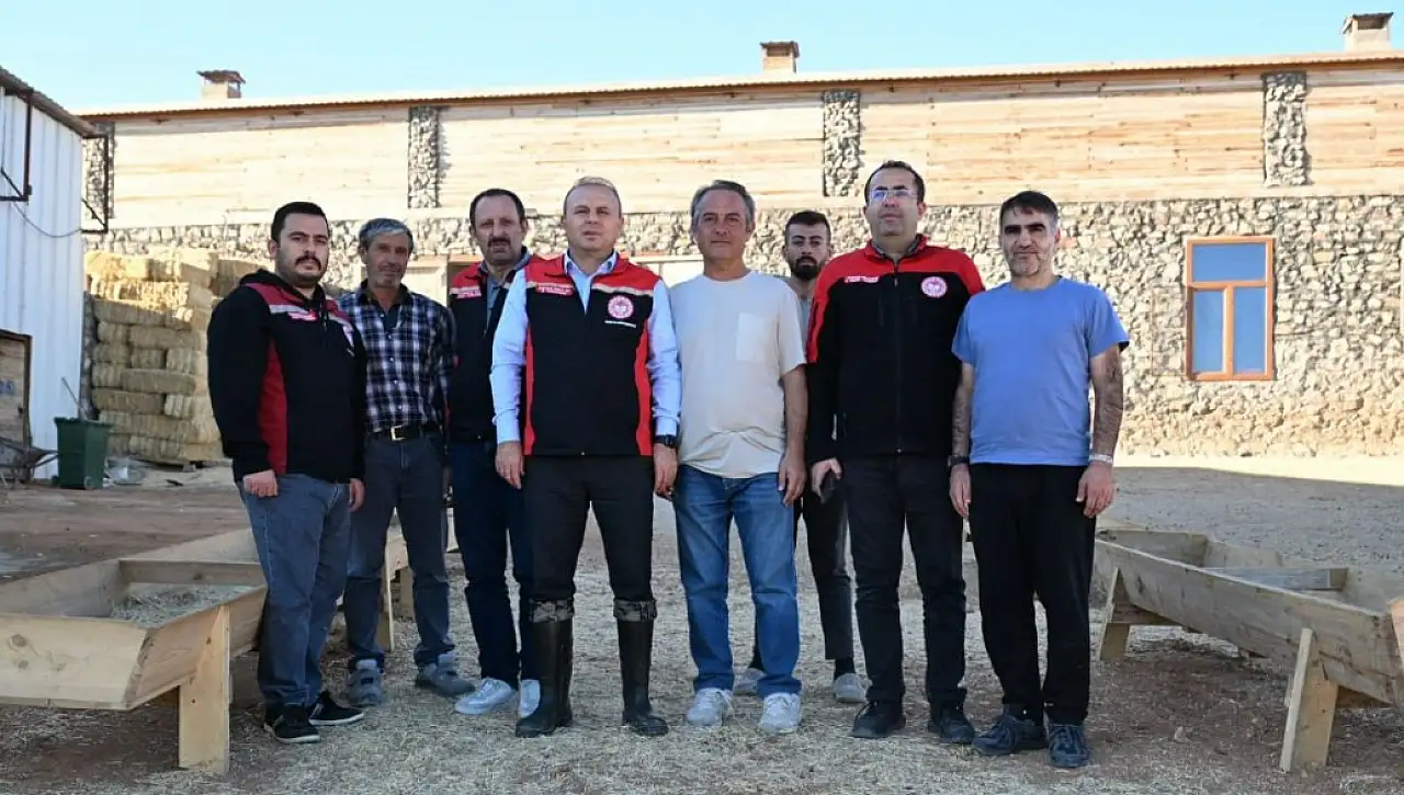 Felahiye'de çiftçinin emeği, devletin desteği buluştu