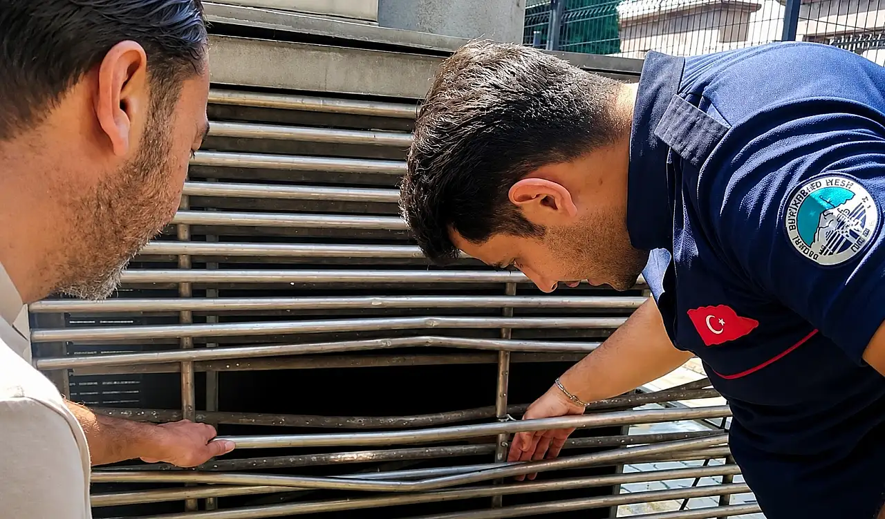 Kayseri'de itfaiyeden kedi kurtarma operasyonu