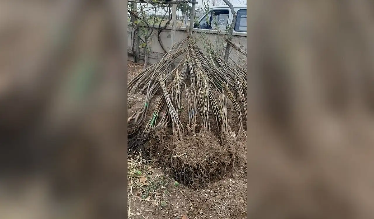Kayseri'nin o mahallesinde harekete geçildi! Her ev adına iki tane