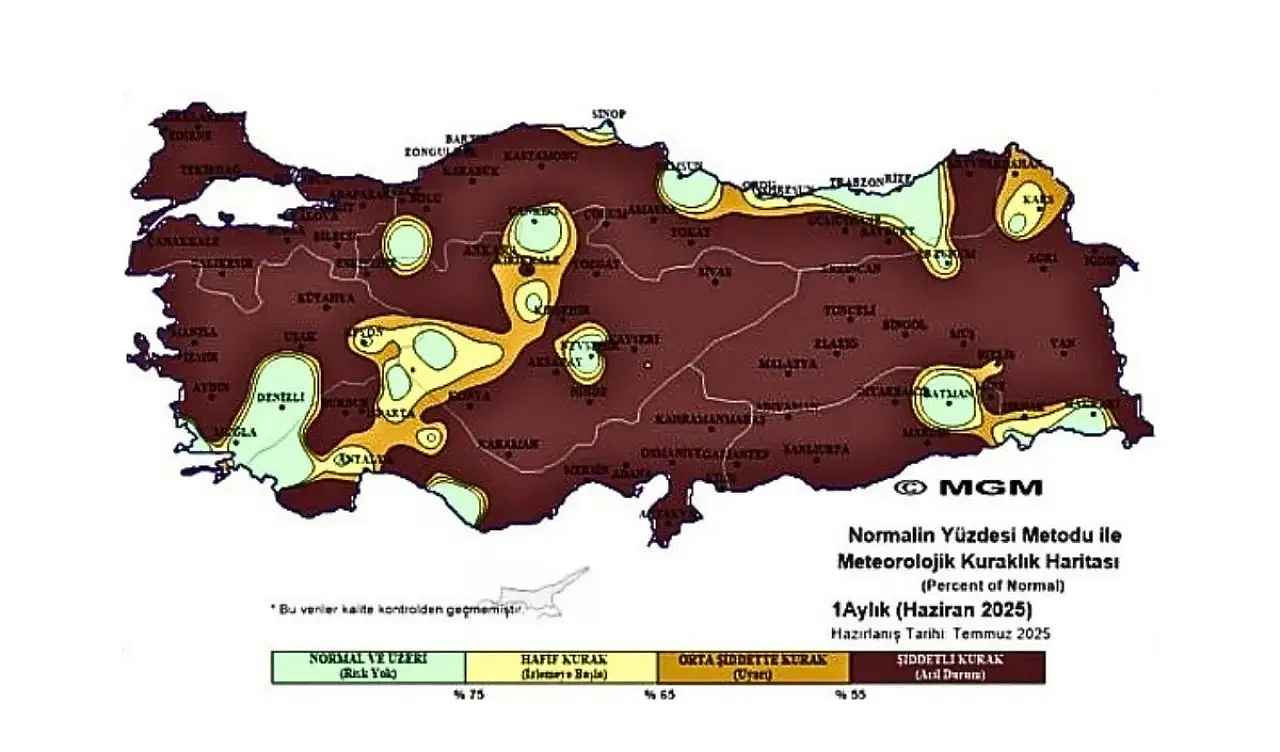 Kayseri'nin kuru sıcağı tarih mi oluyor? MGM verileri şaşırttı!