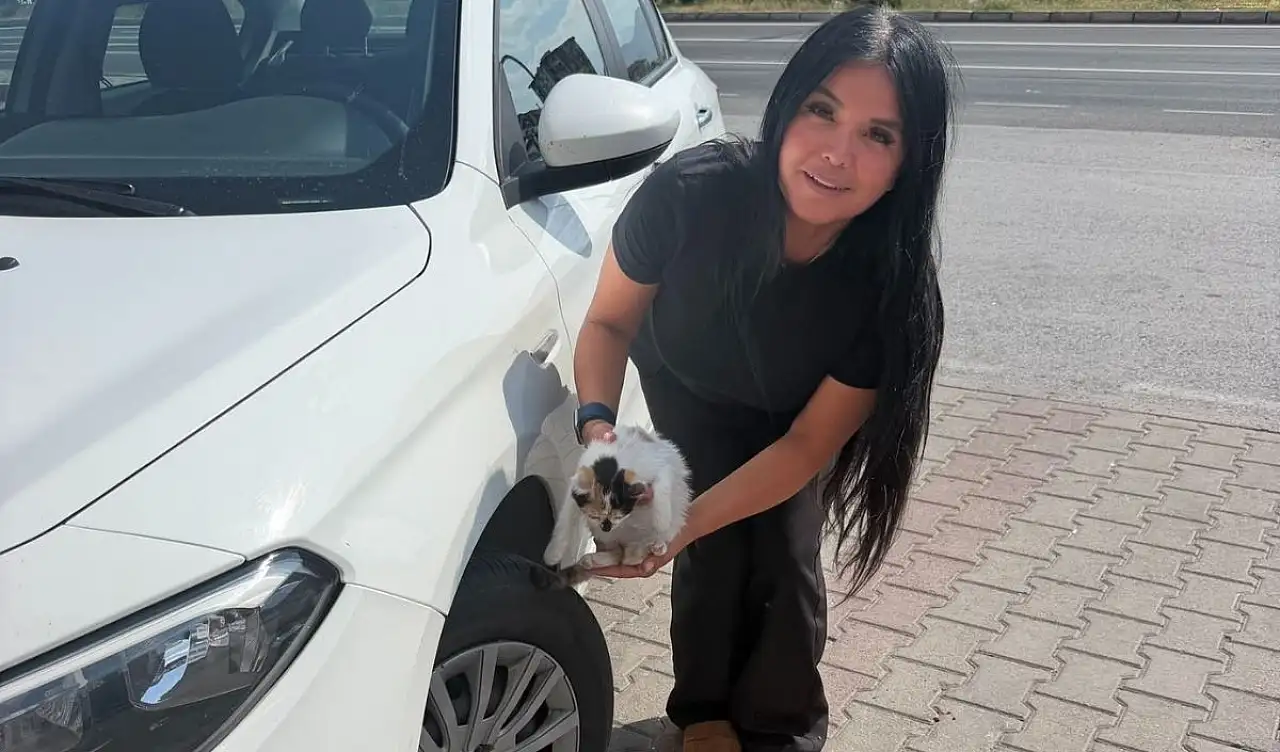 Tekere saklandı, 320 kilometre yol geldi: Kayseri'de ortaya çıktı
