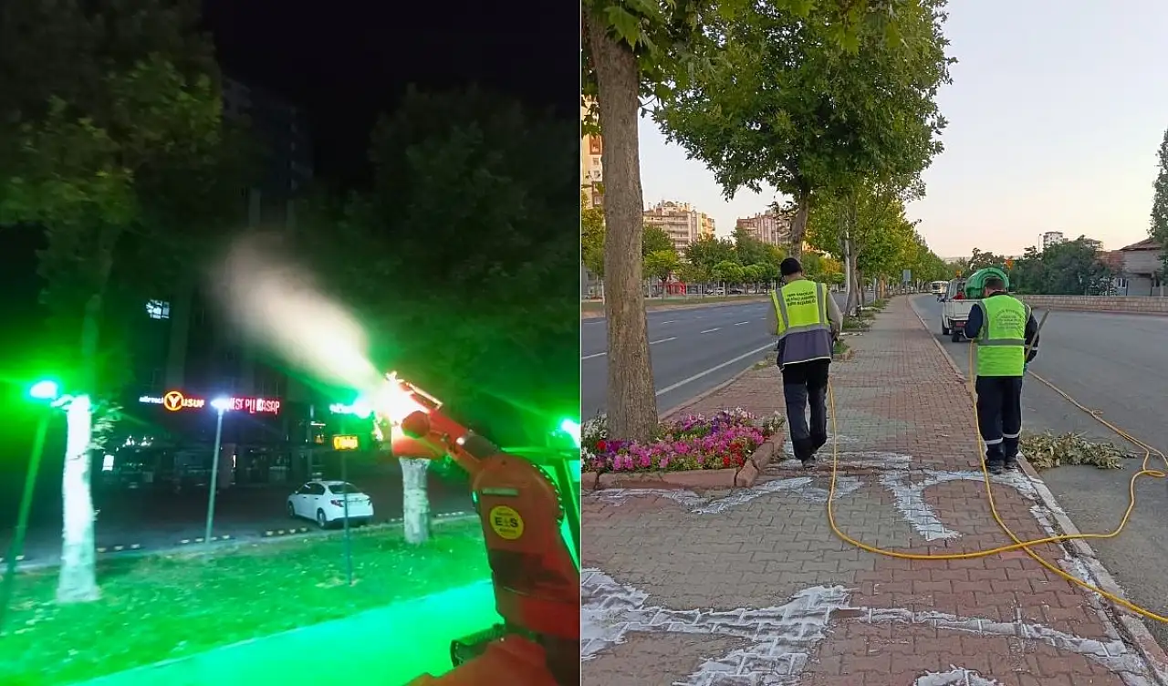 Kayseri Büyükşehir Belediyesi haşera mücadeleye devam ediyor!