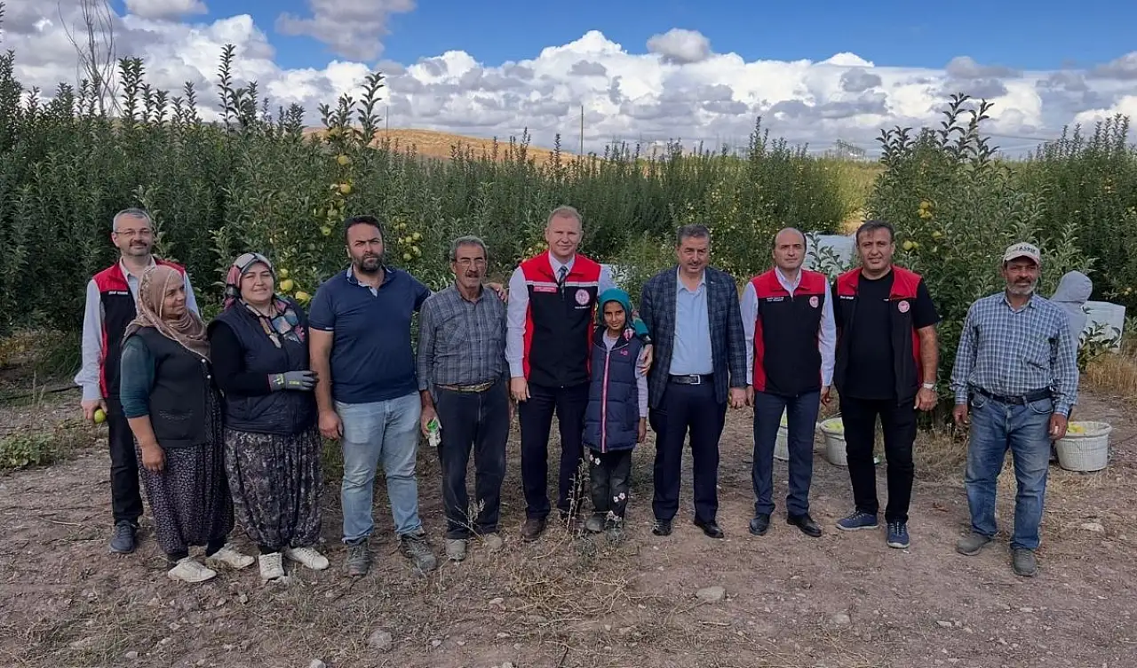 Kayseri'de 8 çeşidi üretiliyor! Hasadı başladı