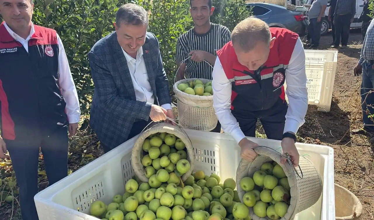 Kayseri'de 8 çeşidi üretiliyor! Hasadı başladı