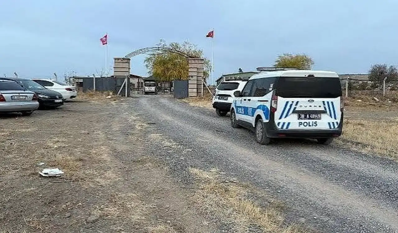 Miras nedeniyle 4 kişiyi bıçaklamıştı: Mahkemede 'Dersimi aldım' dedi