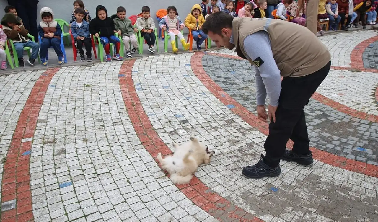 Kayseri'de eğitimli köpekler anaokulunda gösteri yaptı