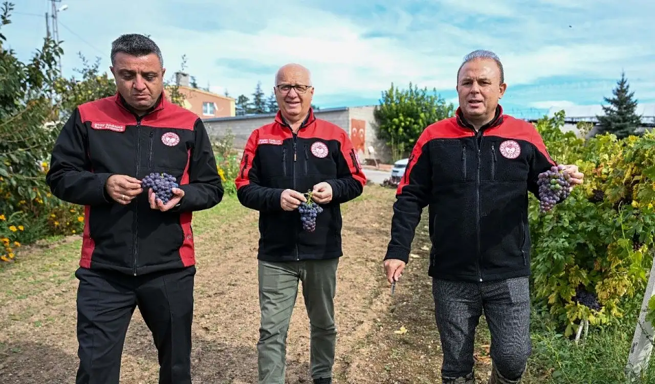Kayseri'de sağlıklı süt için işletmeler mercek altında!