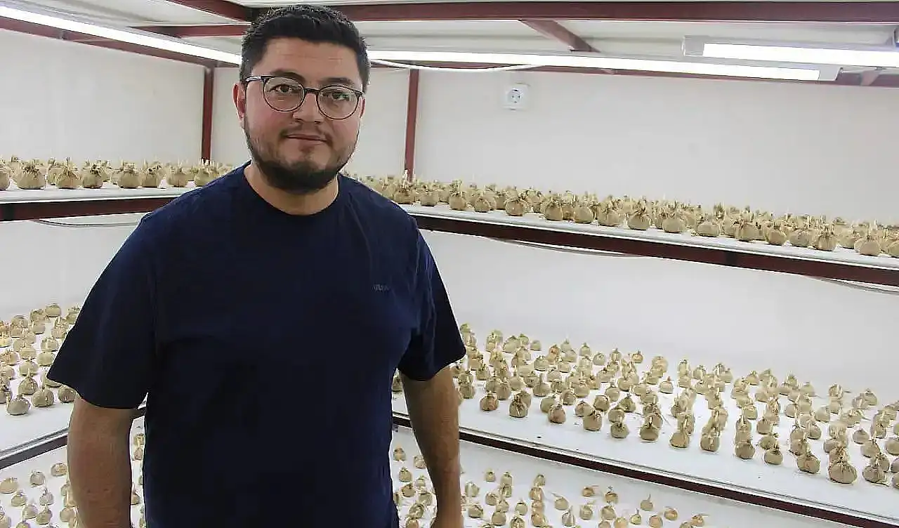 Kayseri'de evinin bahçesinde servet yetiştiriyor! Yarın hasat edilecek