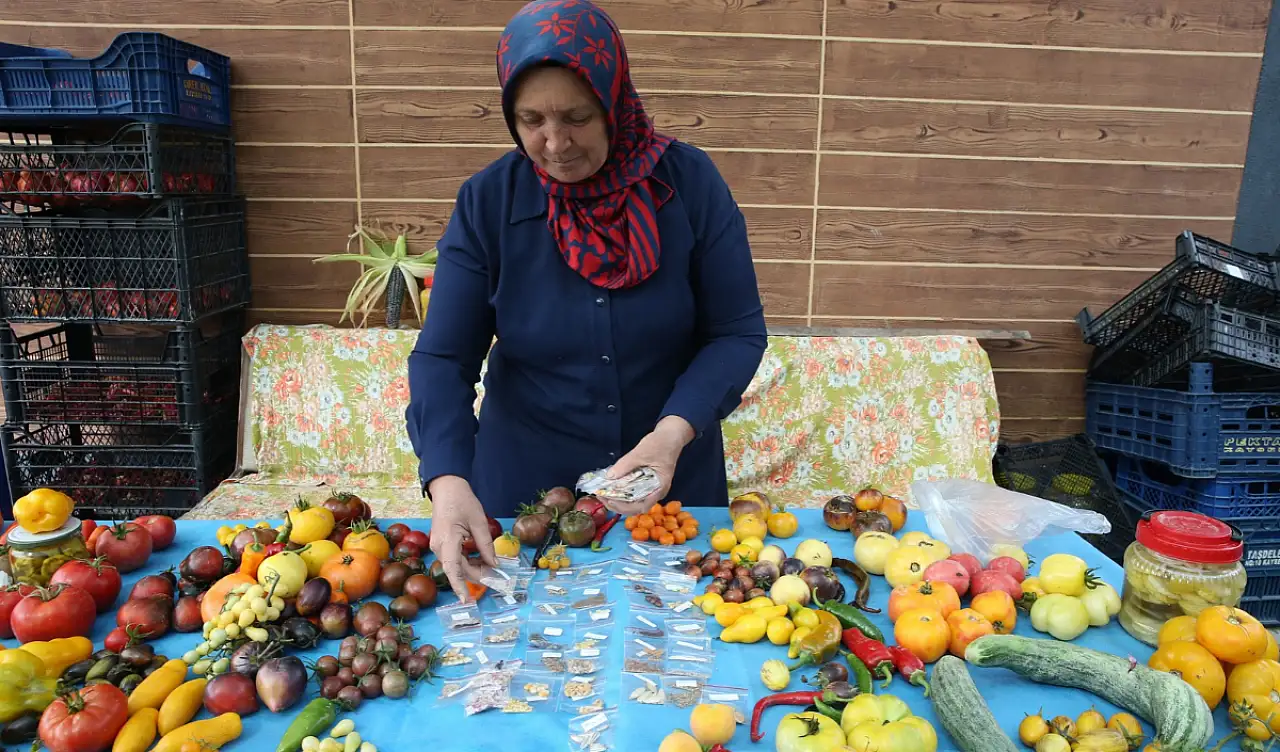 Kayseri'de çoğaltıyor, Türkiye'ye ücretsiz gönderiyor