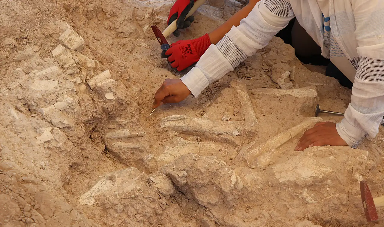 Kayseri'de keçi çobanının ihbarıyla başlayan 7.7 milyon yıllık keşif