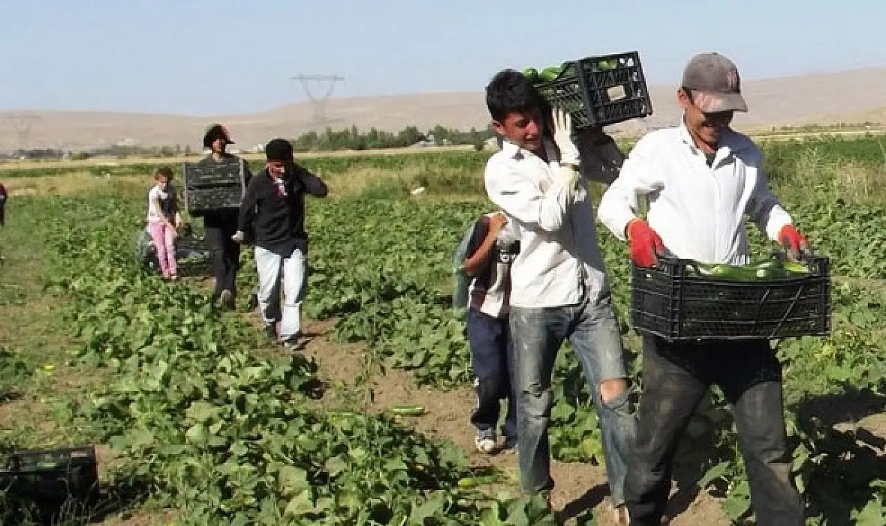 Üreten eller güçleniyor: Çiftçiye 1,14 milyar TL'lik destek ödemesi
