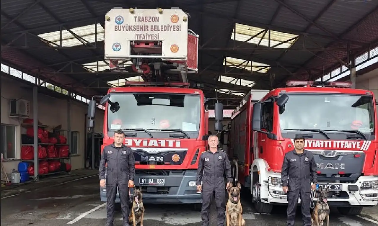 Kayseri ekipleri K-9 enkaz eğitiminde yer aldı: 70 arama köpeğiyle tatbikat!