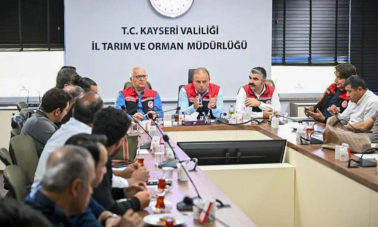 Kayseri'de et üretimiyle ilgili önemli gelişme!