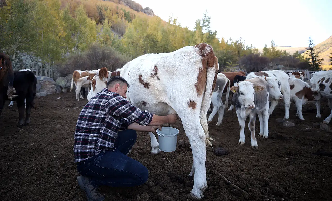 Kayseri'de Yörük Ömer, dede mesleğini tek başına dağlarda sürdürüyor