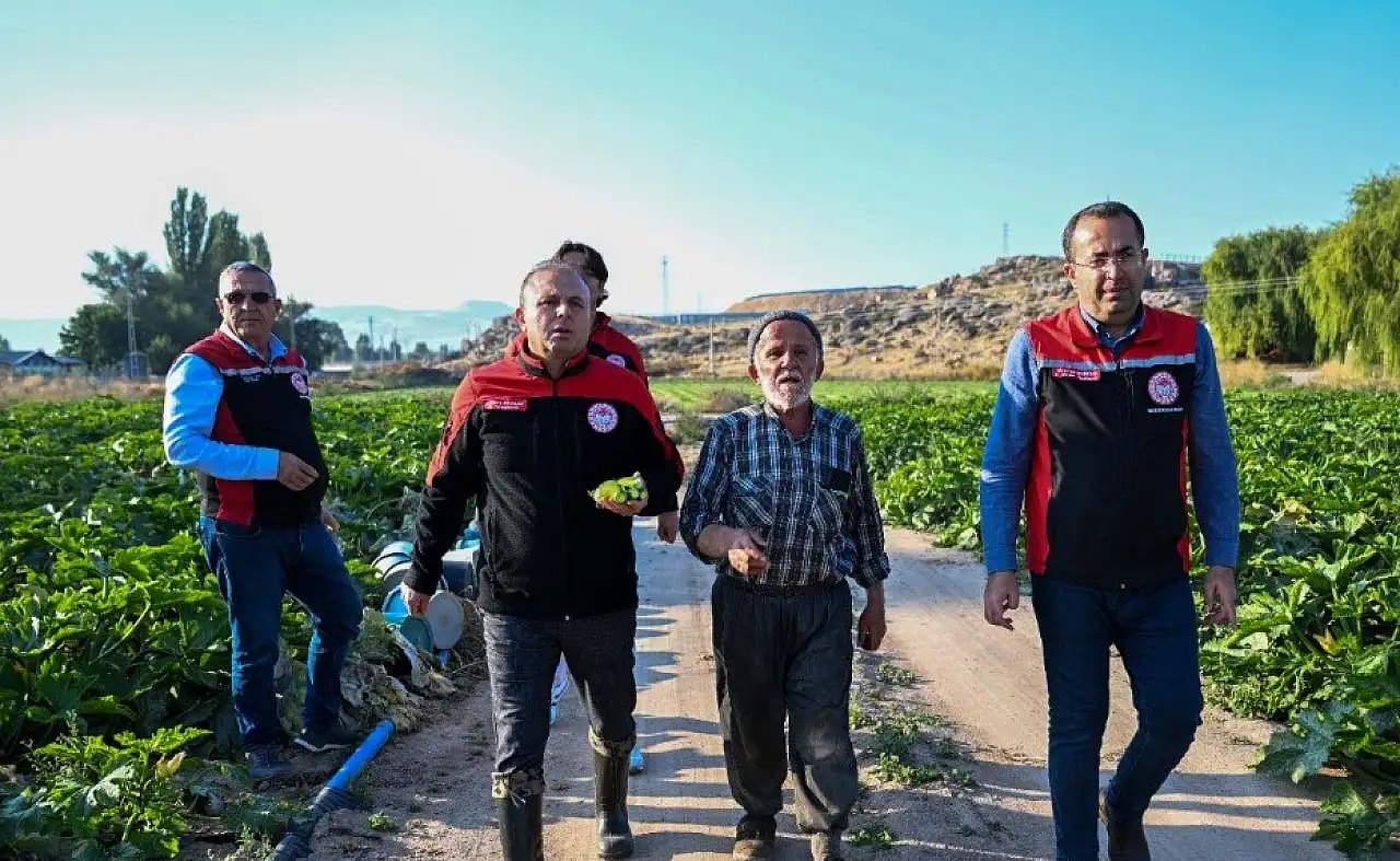 Kayseri'de kabak, marul ve yeşil soğan üretimine yakın takip