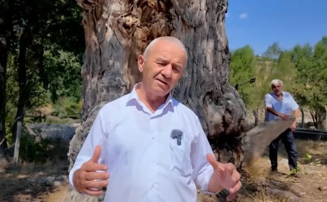 Develi'de 700 yıllık gizem! Karaağaç'ın bilinmeyen hikayesi