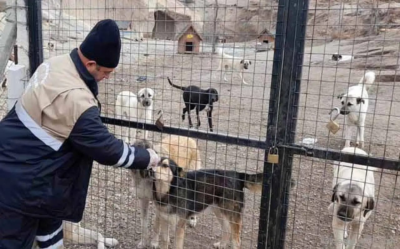 Belediye harekete geçti! Talas Çatakdere'ye bakın ne yapılıyor?