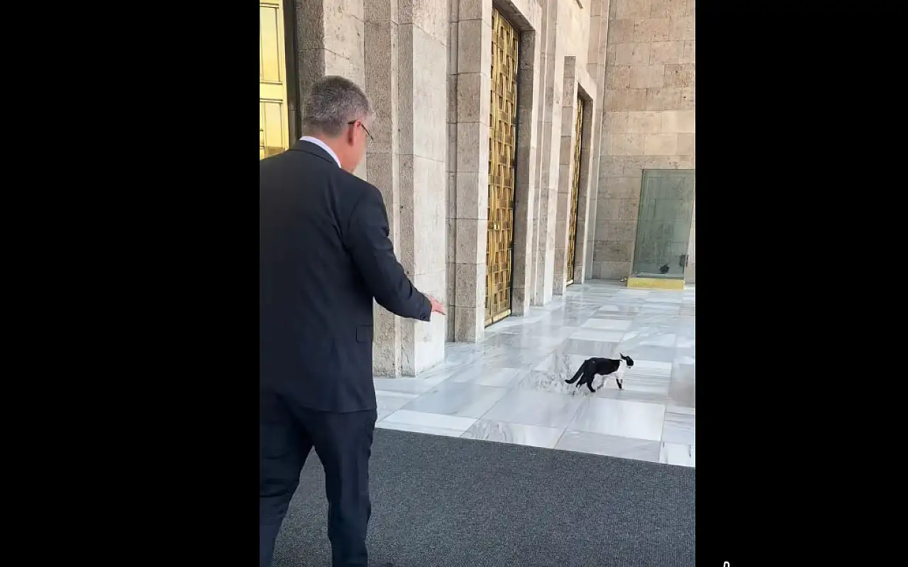 AK Parti Kayseri Milletvekili neyin peşinde? Ne yaptıysa olmadı, pisi